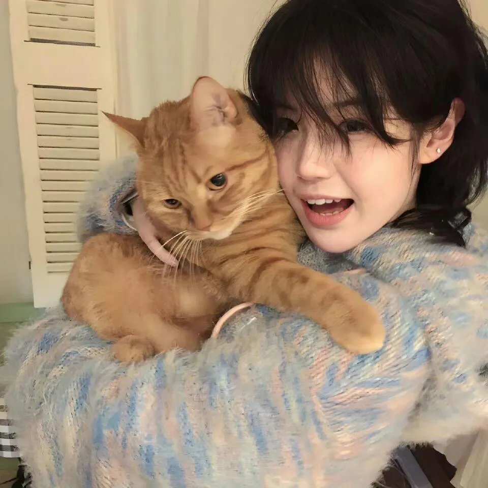 敬！莎莉
